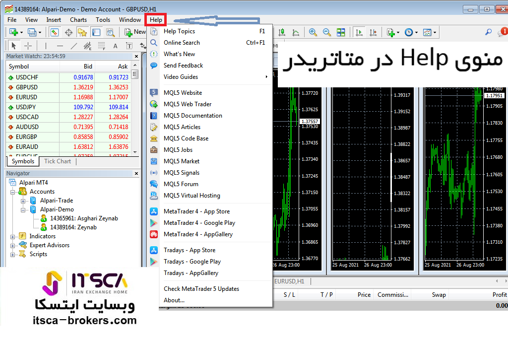 منوی Help در متاتریدر