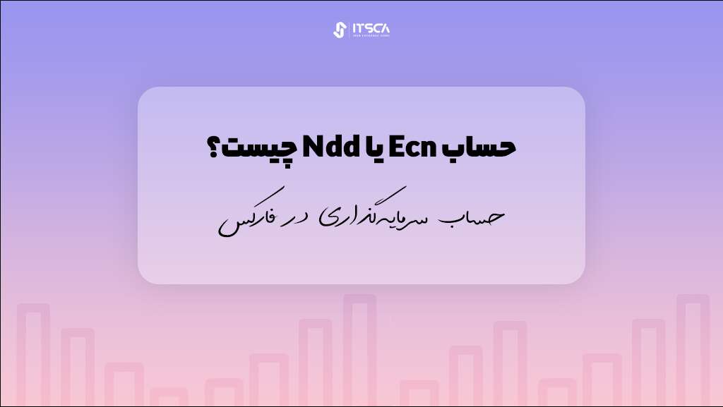 حساب ECN در فارکس چیست؟ - بهترین بروکرهای فارکس در فلسطین