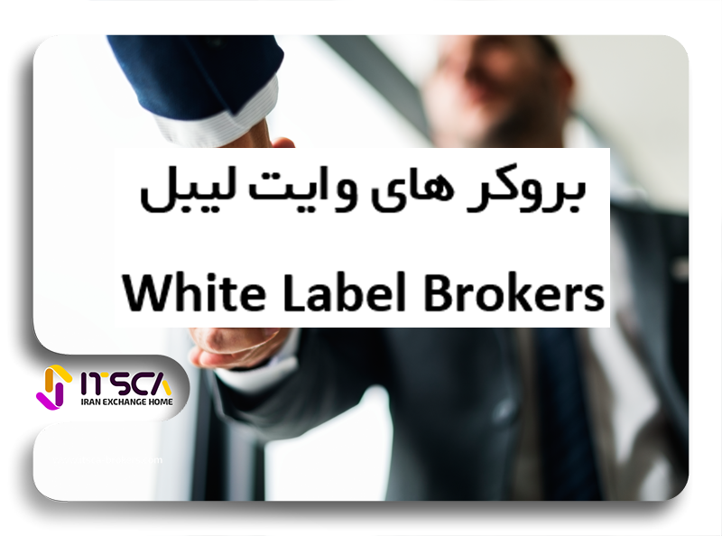 بروکر وایت لیبل چیست؟ – نحوه تشخیص بروکر های وایت لیبل White Label