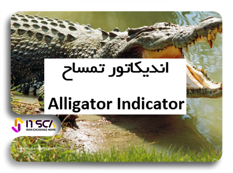 اندیکاتور تمساح Alligator چیست؟ – نحوه استفاده از اندیکاتور الیگیتور